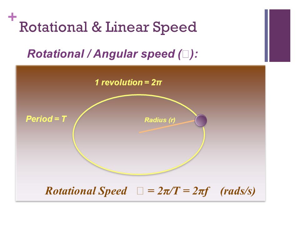 Rotational & Linear Speed