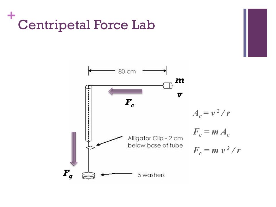 Centripetal Force Lab m v Fc Ac = v 2 / r Fc = m Ac Fc = m v 2 / r Fg