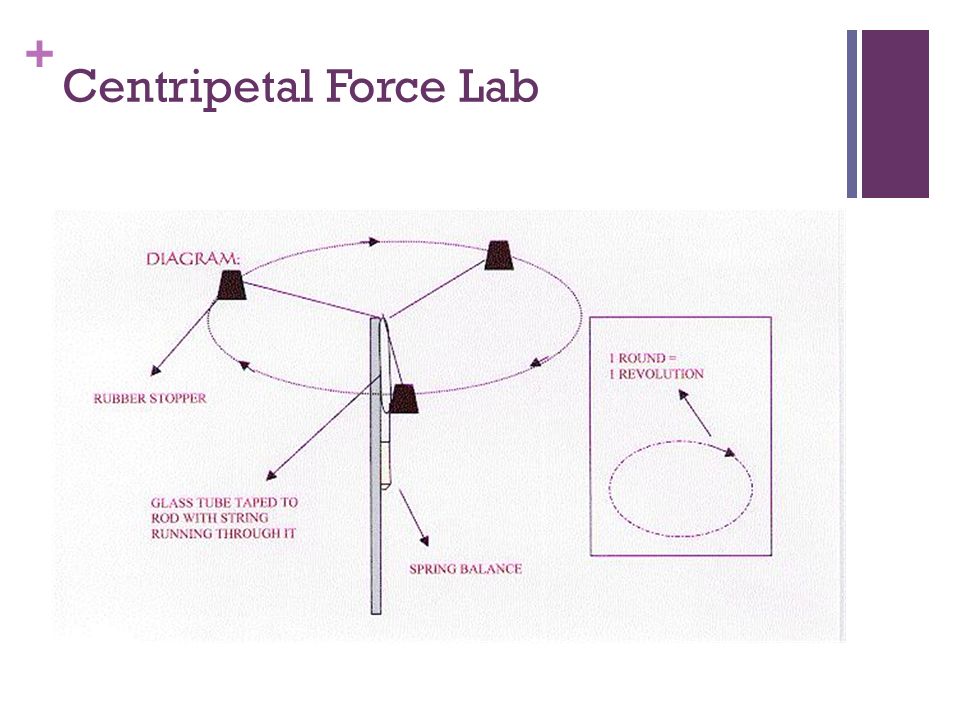 Centripetal Force Lab