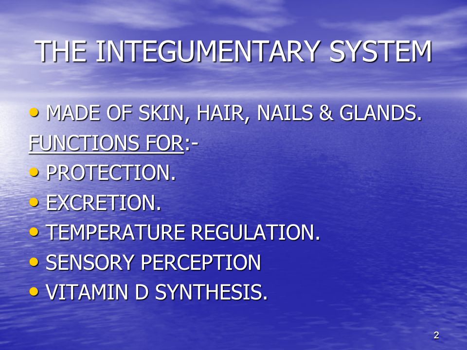 THE INTEGUMENTARY SYSTEM