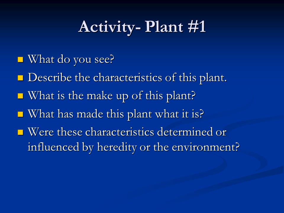 Activity- Plant #1 What do you see