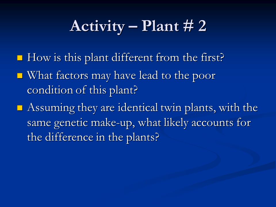 Activity – Plant # 2 How is this plant different from the first