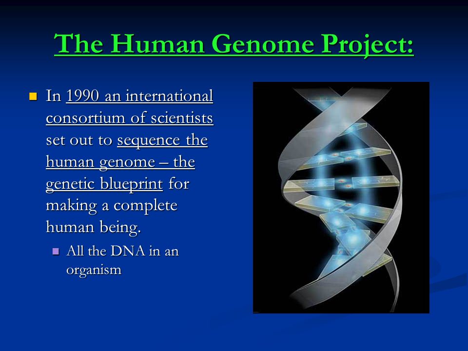 The Human Genome Project: