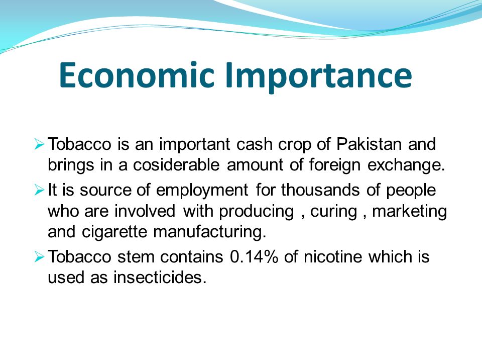 economic importance of cash crops