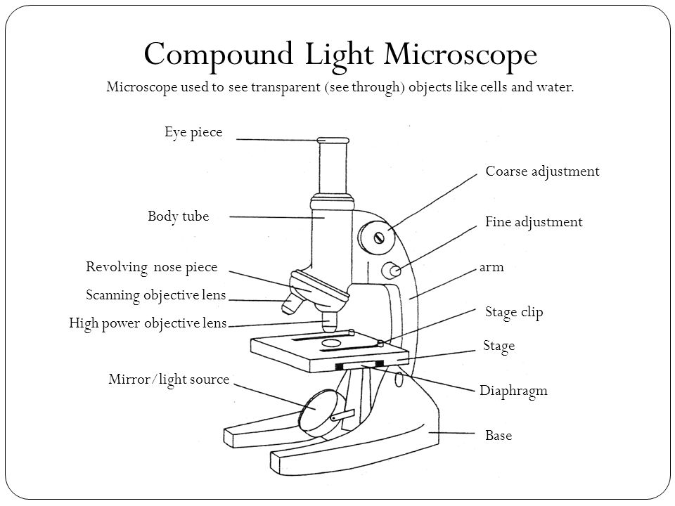 Микроскоп с подписями 5 класс. Строение микроскопа без подписей. Микроскоп нарисовать описание. Схема микроскопа 5 класс биология. Микроскоп картина с обозначениями.