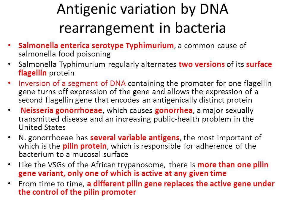 Antigenic variation by DNA rearrangement in bacteria