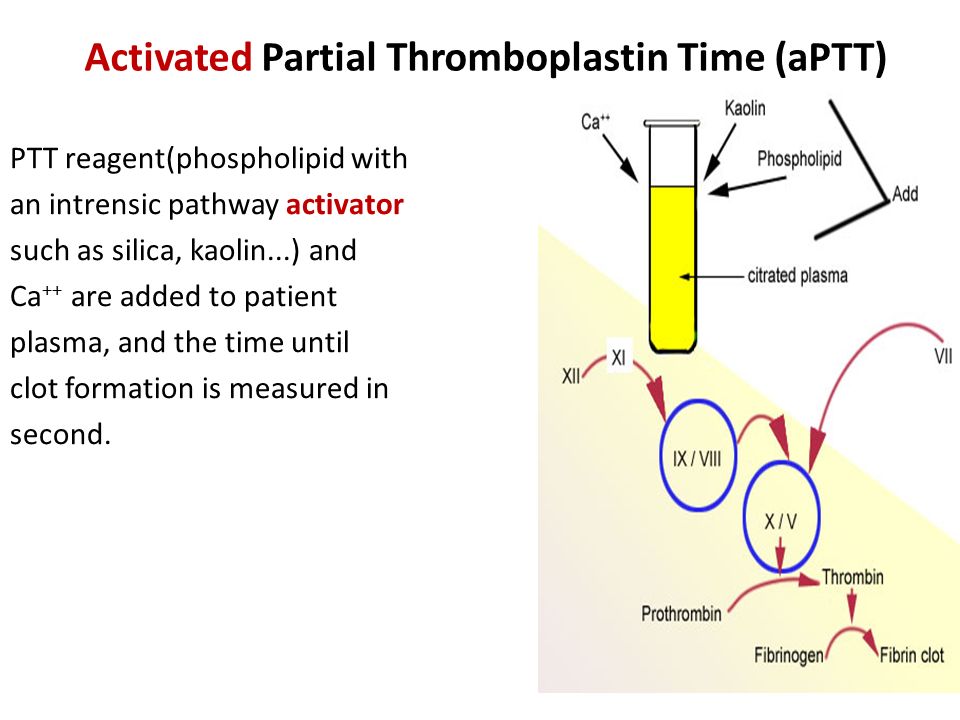 Activated Partial Thromboplastin Time (aPTT) .