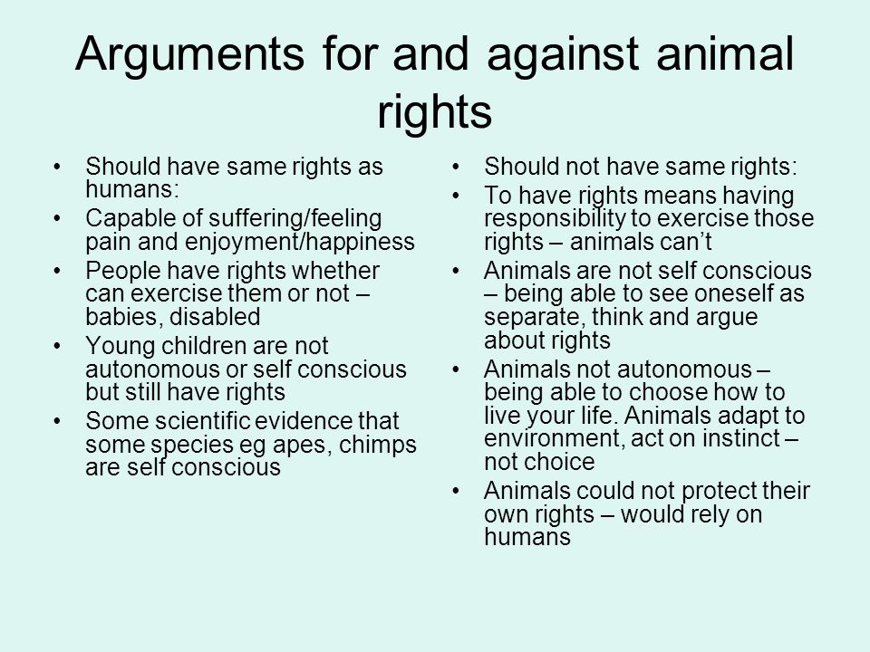 Image result for for or against animal rights
