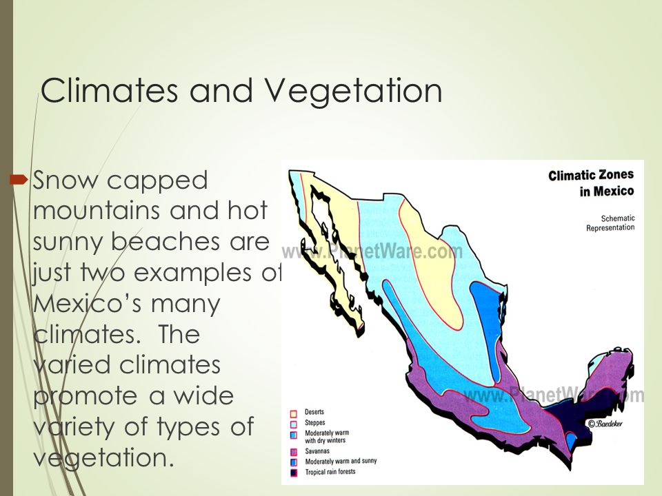 Climates and Vegetation