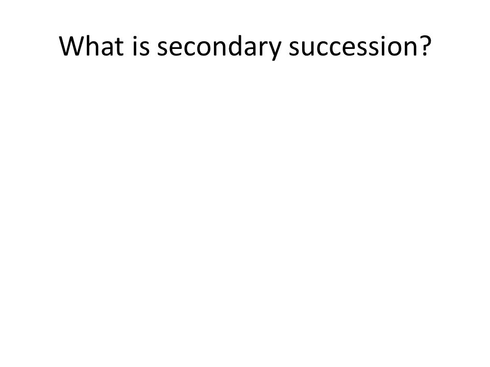 What is secondary succession