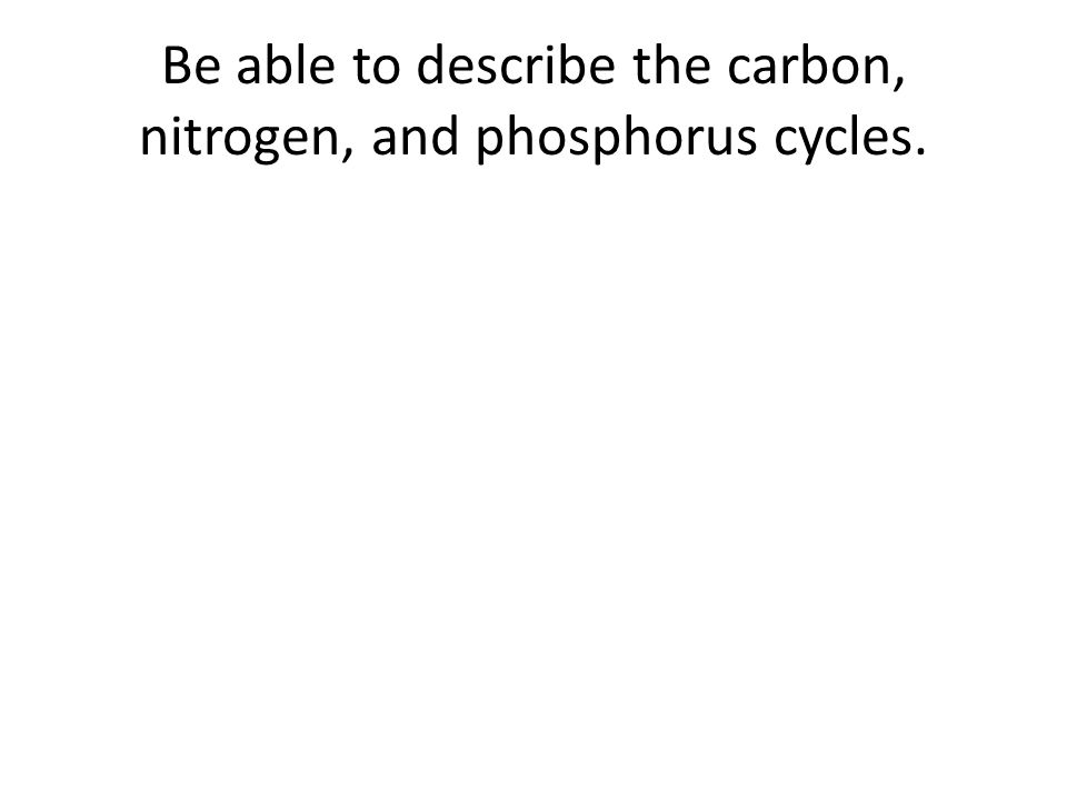 Be able to describe the carbon, nitrogen, and phosphorus cycles.