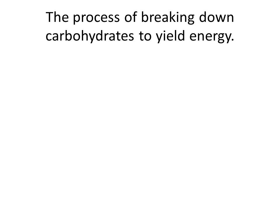 The process of breaking down carbohydrates to yield energy.