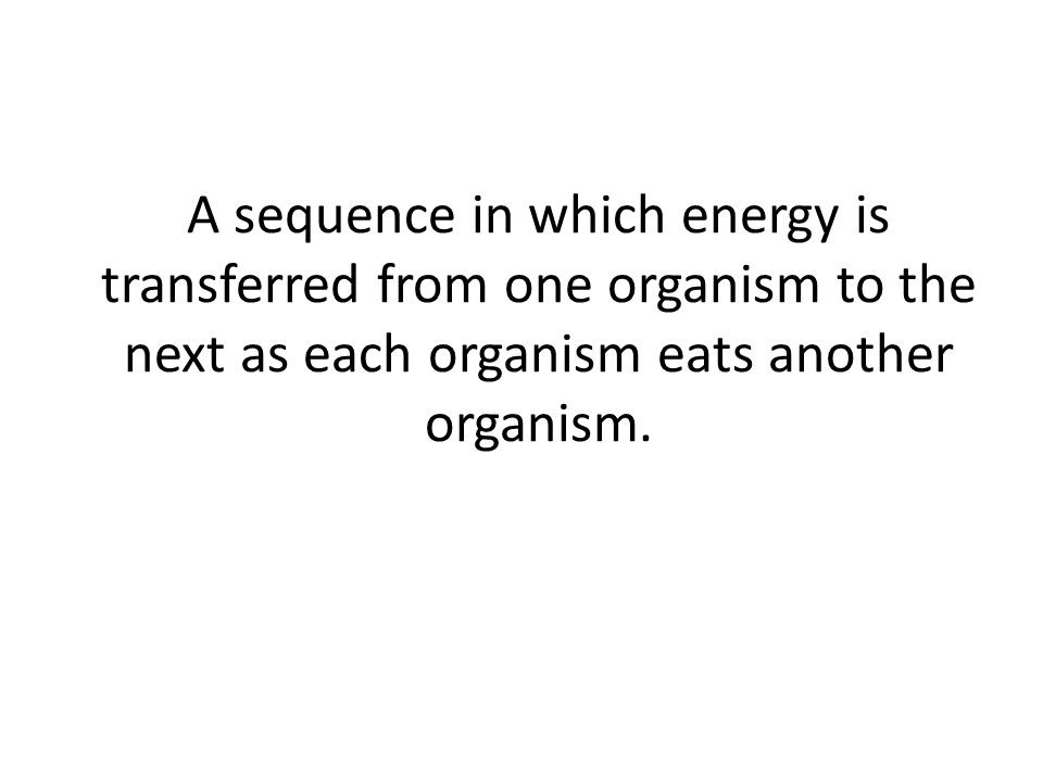 A sequence in which energy is transferred from one organism to the next as each organism eats another organism.