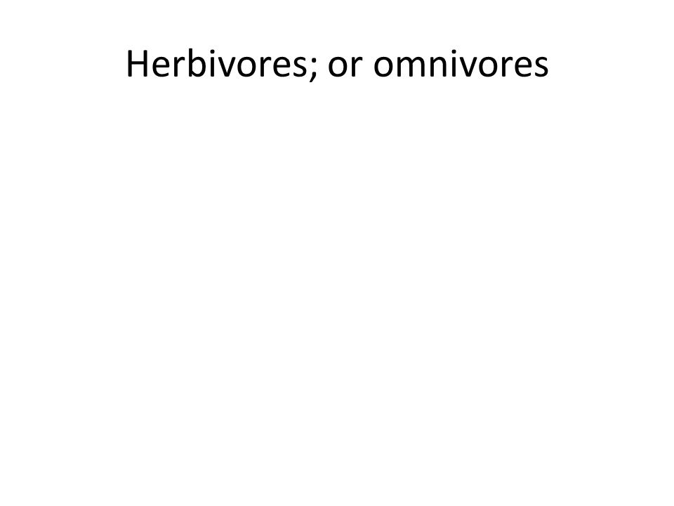 Herbivores; or omnivores