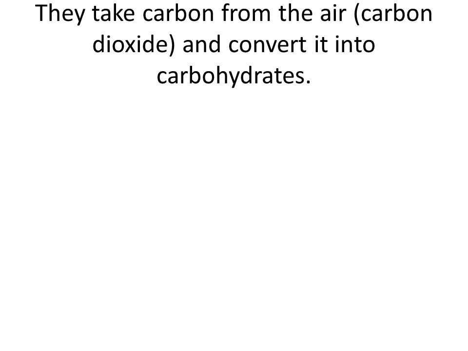 They take carbon from the air (carbon dioxide) and convert it into carbohydrates.