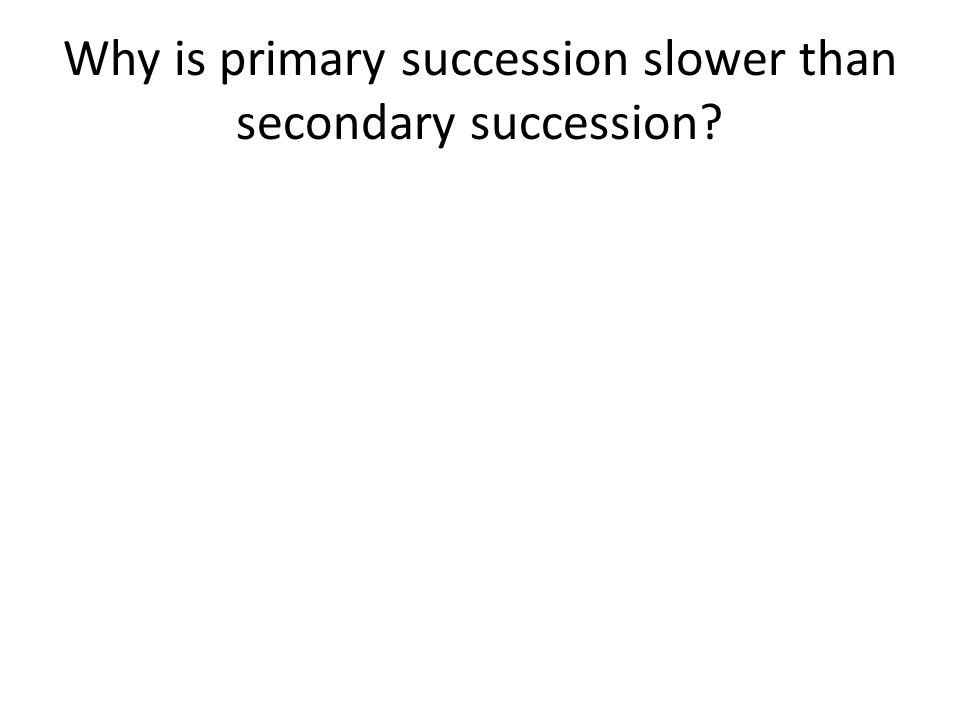 Why is primary succession slower than secondary succession