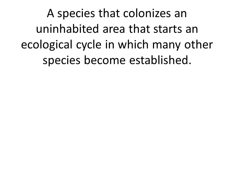A species that colonizes an uninhabited area that starts an ecological cycle in which many other species become established.