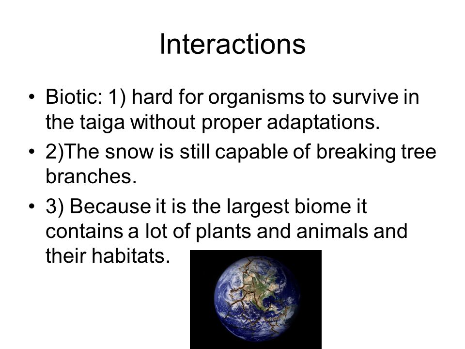 Interactions Biotic: 1) hard for organisms to survive in the taiga without proper adaptations.