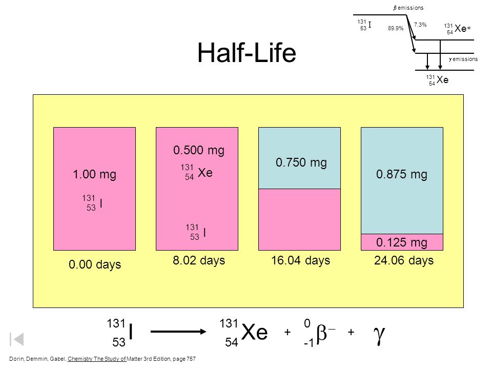 Half-Life g I Xe b mg mg mg mg Xe mg I I