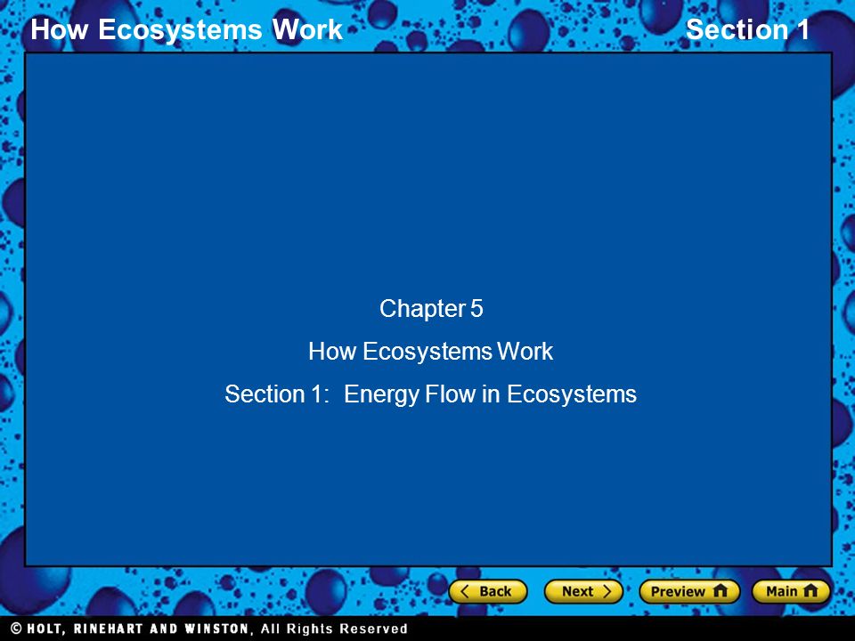Section 1: Energy Flow in Ecosystems