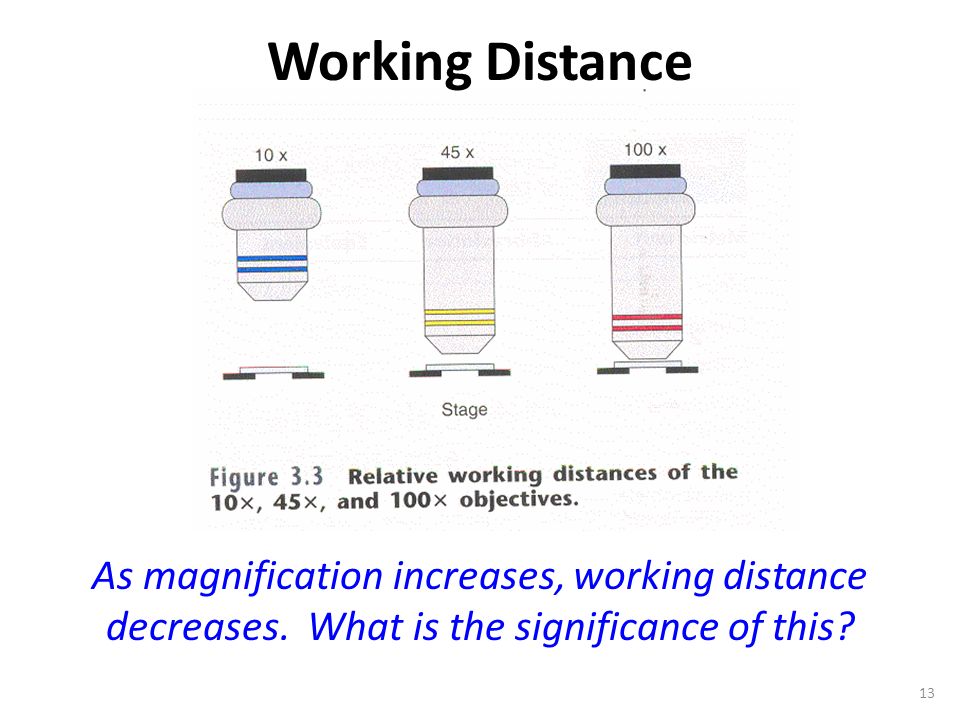 shortest working distance microscope