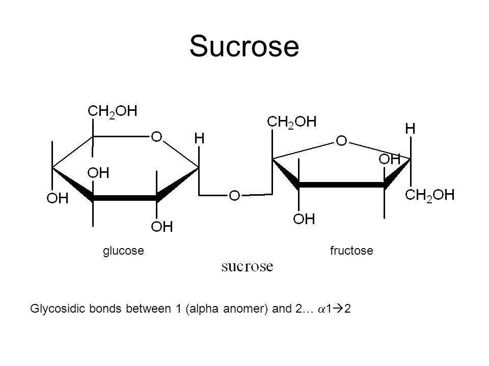 Sucrose glucose fructose.