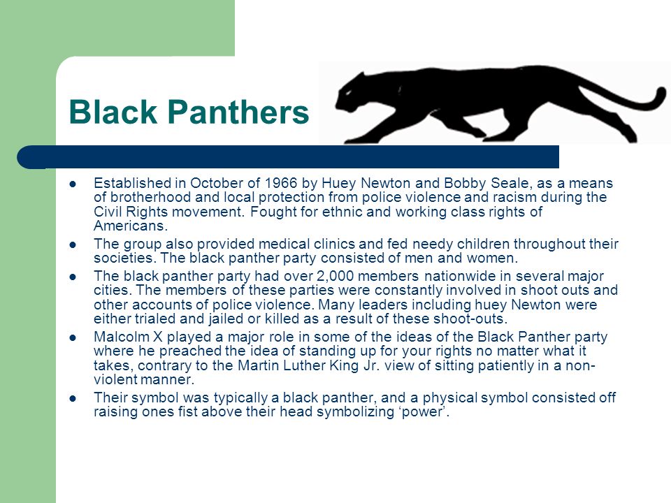 black panther physical characteristics