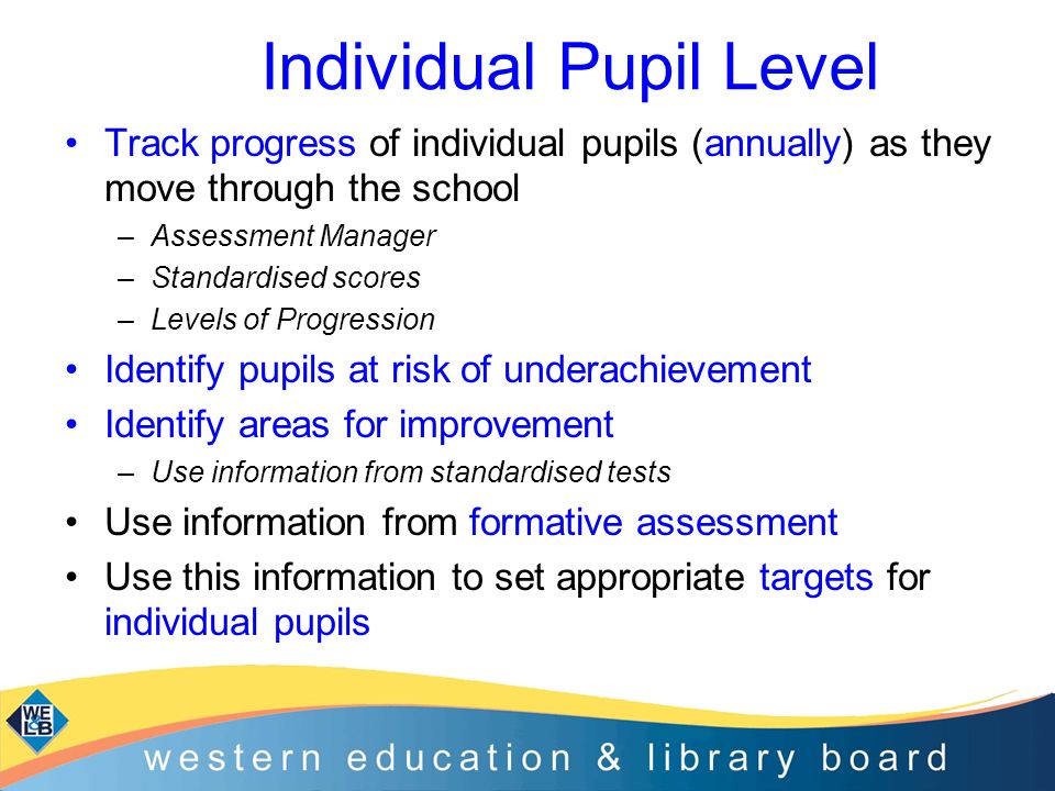 Individual Pupil Level