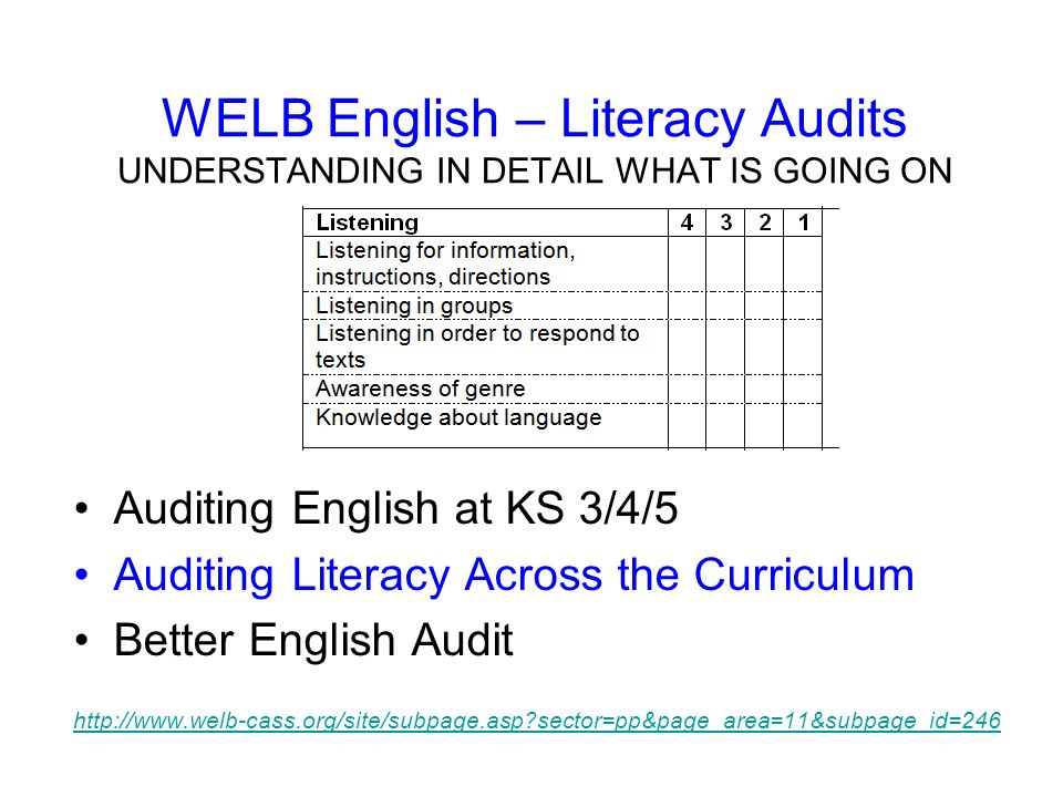 WELB English – Literacy Audits UNDERSTANDING IN DETAIL WHAT IS GOING ON