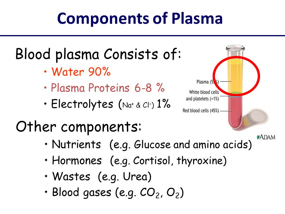 Blood Lessons Tes Teach
