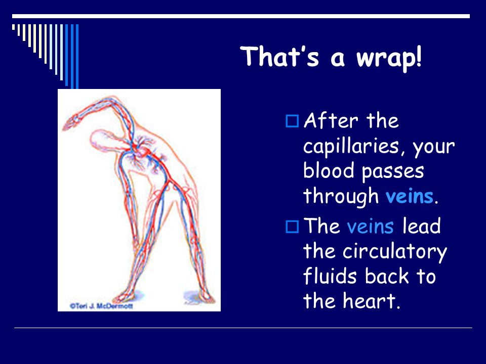 That’s a wrap! After the capillaries, your blood passes through veins.