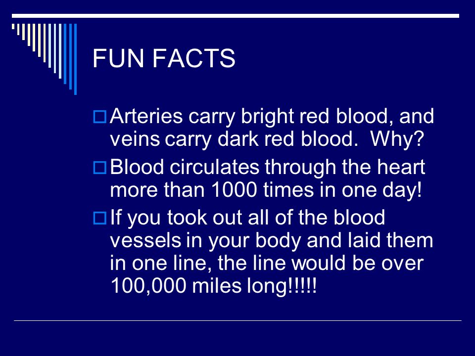 FUN FACTS Arteries carry bright red blood, and veins carry dark red blood. Why Blood circulates through the heart more than 1000 times in one day!