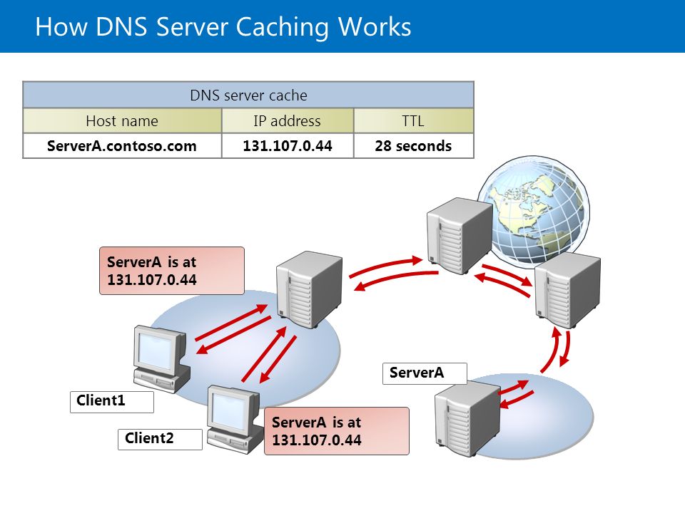 Host cache. DNS сервер в локальной сети. DNS протокол схема. DNS протокол Windows Server. DNS сервера 3.