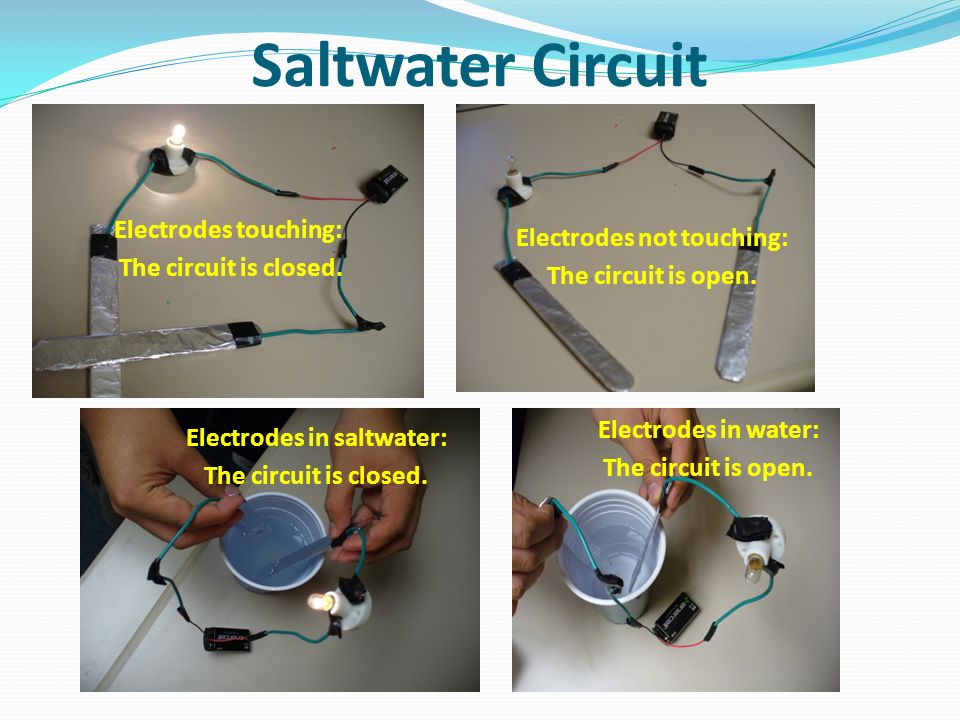 Saltwater Circuit. - ppt video online download