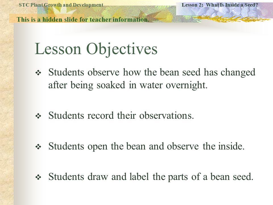 Plant Growth Observation Chart