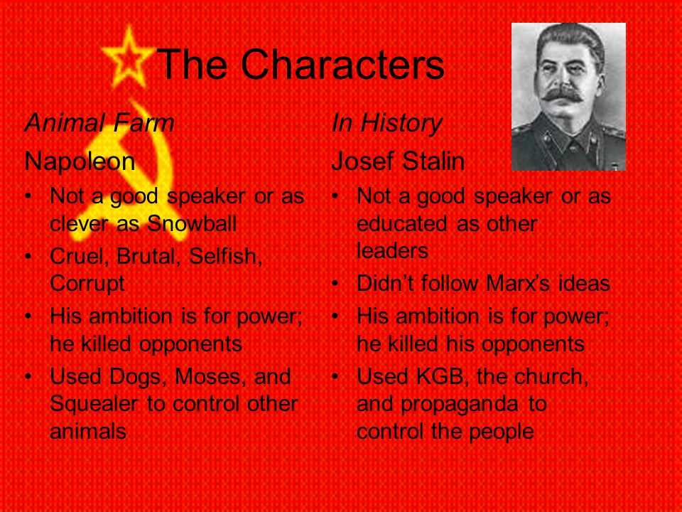 The+Characters+Animal+Farm+Napoleon+In+History+Josef+Stalin.jpg