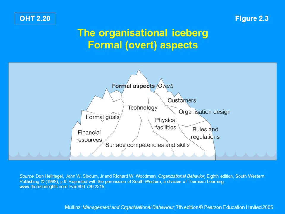 The Nature of Organisational Behaviour - ppt download