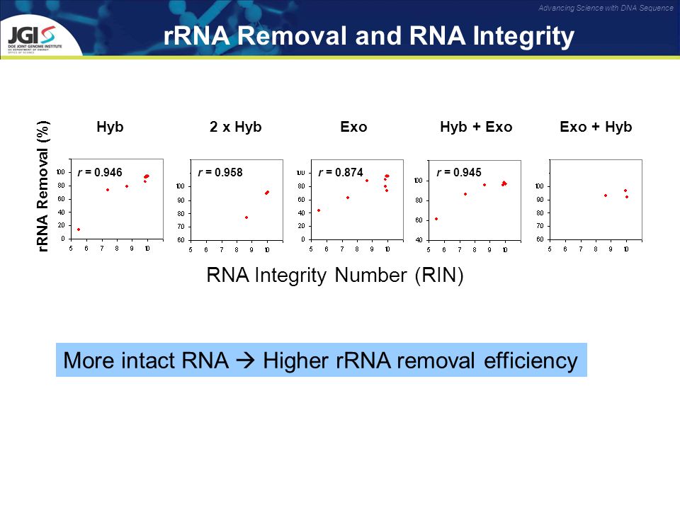 rRNA Removal and RNA Integrity