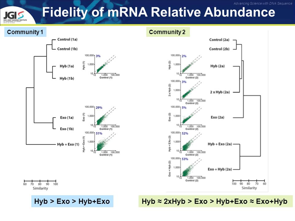 Fidelity of mRNA Relative Abundance