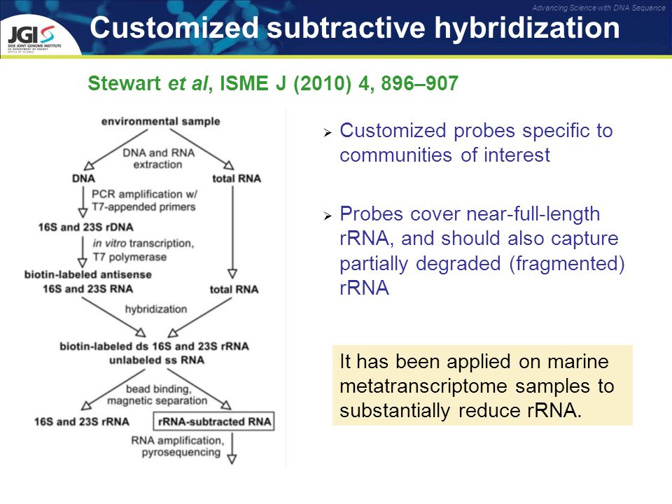 Customized subtractive hybridization