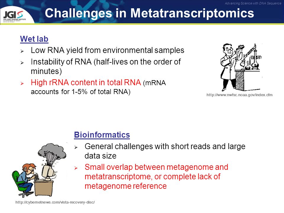 Challenges in Metatranscriptomics