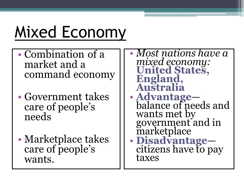 Mixed Economy Combination of a market and a command economy