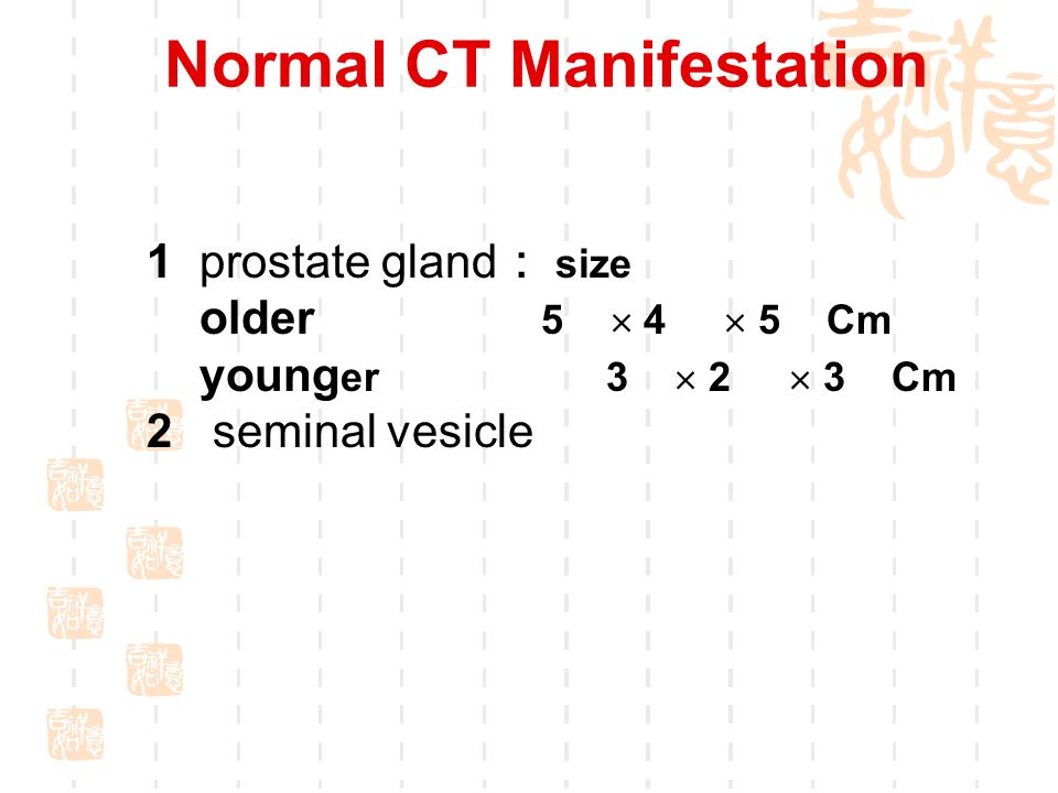 normal size prostate gland cm