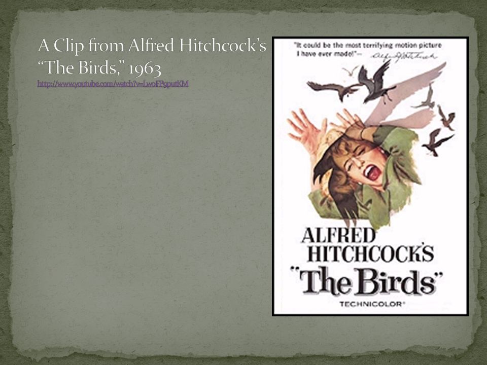 A Clip from Alfred Hitchcock’s The Birds, youtube