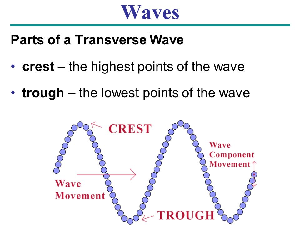 Waves Parts of a Transverse Wave