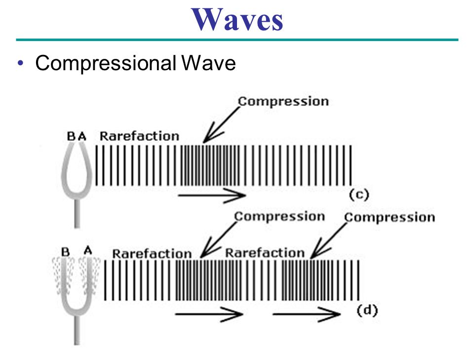 Waves Compressional Wave