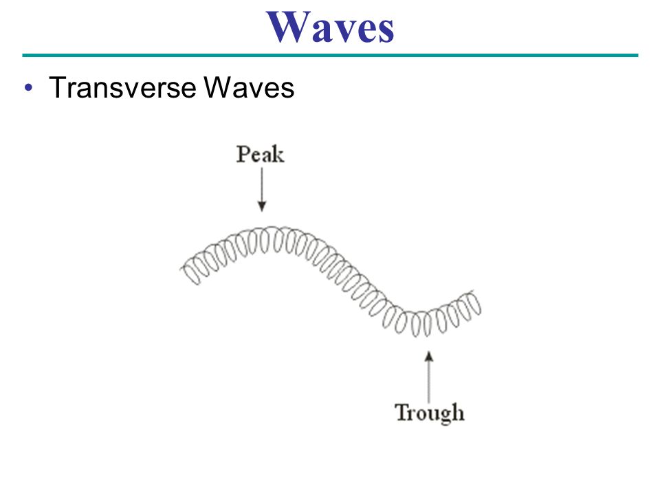 Waves Transverse Waves