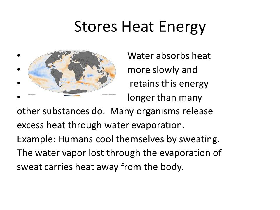 Stores Heat Energy Water absorbs heat more slowly and