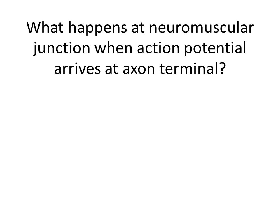 Flash Cards Chapter ppt video online download
