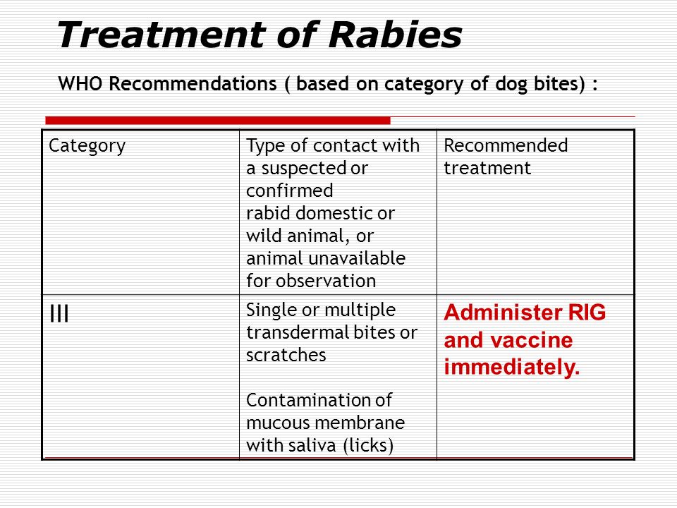 what is category 3 dog bite